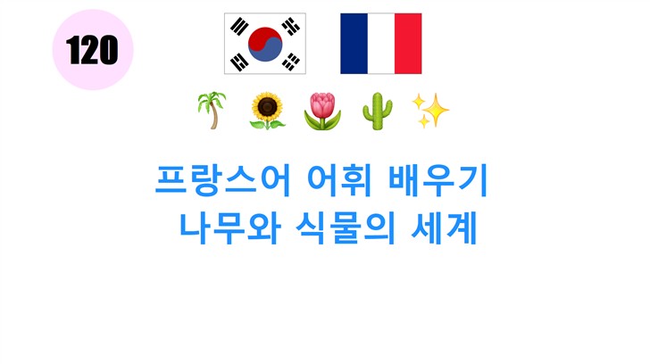 프랑스어 어휘 배우기: 나무와 식물의 세계